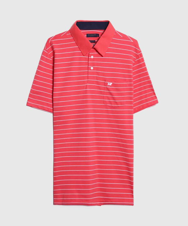 Polo Cuello Duro Bicolor image number null