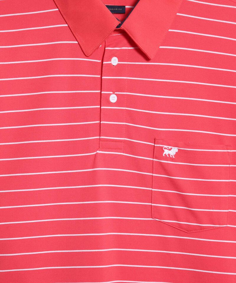 Polo Cuello Duro Bicolor